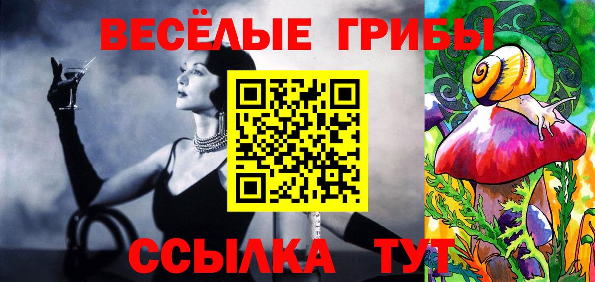 Галлюциногенные грибы прущие грибы Тамбов